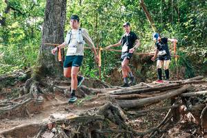 BIB: 
                            <button type="button" onclick="openModal(27716803)" class="btn btn-primary btn-sm float-right btn-popup" data-toggle="modal" data-target=".modal-high-quality">
                        <i class="fas fa-shopping-cart"></i> Add to Cart
                    </button>
                                            <button type="button" onclick="isThisMe(27716803, true)" class="btn btn-success btn-sm float-right btn-popup btn-isme hidden" data-toggle="tooltip" data-placement="bottom" title="นี่คือรูปของคุณใช่ไหม คลิกที่นี่เพื่อเอาเข้าอัลบั้ม">
                        <i class="fas fa-plus"></i> Add to album
                    </button>
                    <button type="button" onclick="isThisMe(27716803, false)" class="btn btn-warning btn-sm float-right btn-popup btn-isnotme hidden">
                        <i class="fas fa-ban"></i> Remove from album
                    </button>